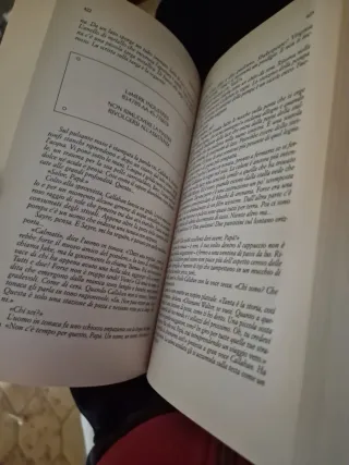 Stephen King I lupi del calla