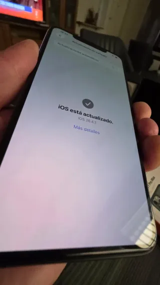 iPhone 11 Pro Max 256GB Gris