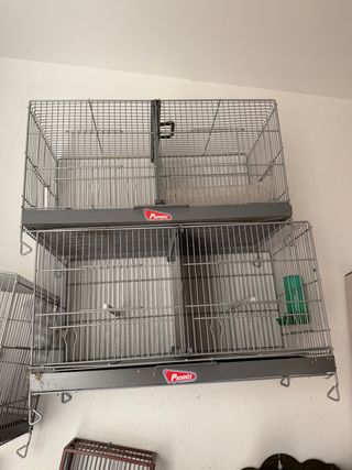 Jaulas para pájaros de 60 cm