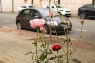 Fotografo