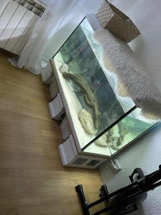 Acuario 300 litros