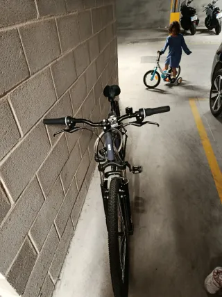 Bicicleta de montaña