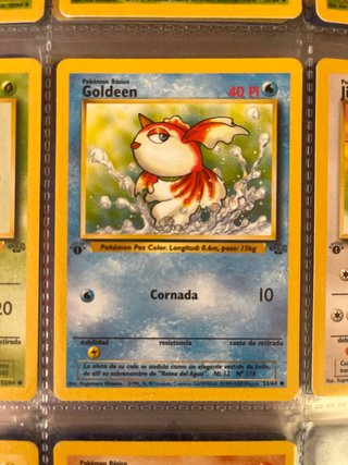 Lote Cartas Pokémon Jungle 1ª Edición Vintage