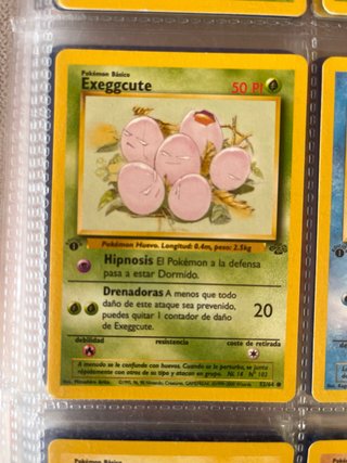 Lote Cartas Pokémon Jungle 1ª Edición Vintage