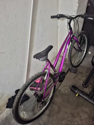 Bicicleta Morada Ruedas Gruesas
