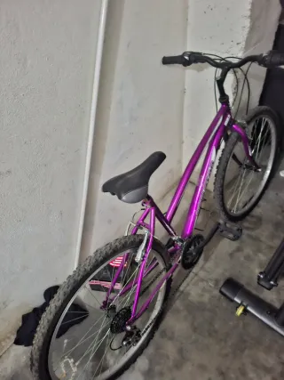 Bicicleta Morada Ruedas Gruesas