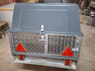 Remolque de coche gris