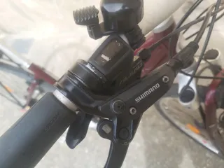 Bicicleta Diamant Trekking Alemana