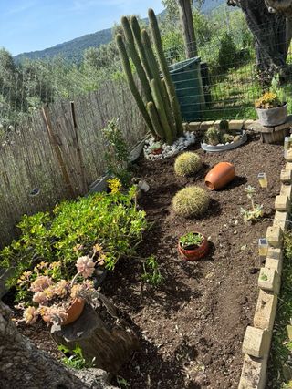 Jardinería, desbroces y mantenimiento