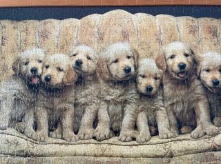 Puzzle 1000 piezas perros sofá
