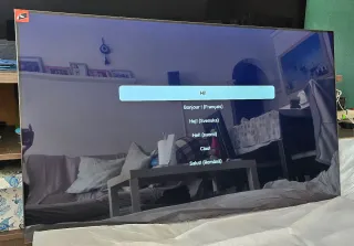 TV OLED SAMSUNG S93D 48 TQ48S93D (Nuevo)