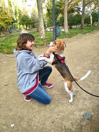 Paseo y cuidado de mascotas + fotos