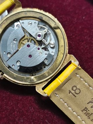 Reloj Splendor  chapado Oro 21 Rubíes