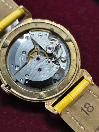 Reloj Splendor  chapado Oro 21 Rubíes