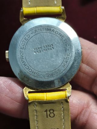 Reloj Splendor  chapado Oro 21 Rubíes