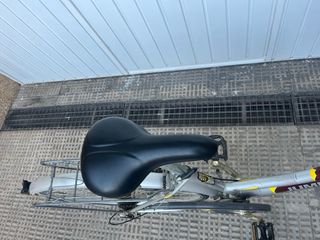 Bicicleta Jumpertrek Paseo Adulto