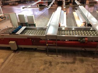 Cintas transp. para máquina clasificadora de fruta