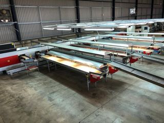 Cintas transp. para máquina clasificadora de fruta