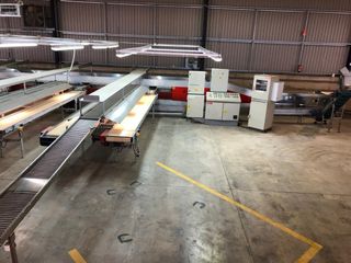 Cintas transp. para máquina clasificadora de fruta