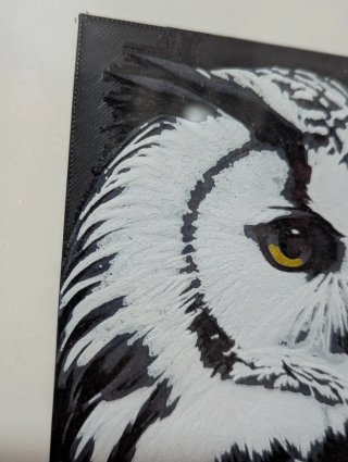Quadro Coruja em 3D