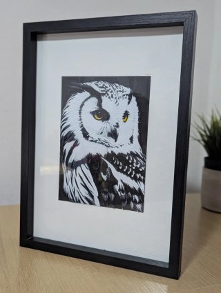 Quadro Coruja em 3D
