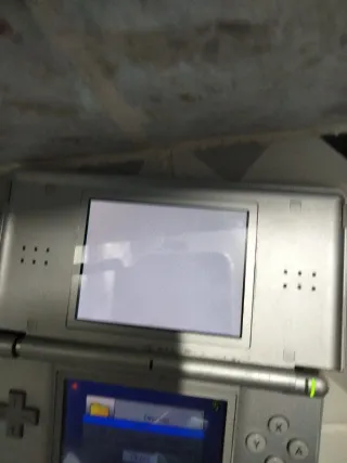 2 Nintendo DS Plata y Negro