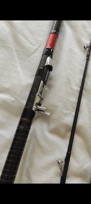 Pareja cañas surfcasting daiwa