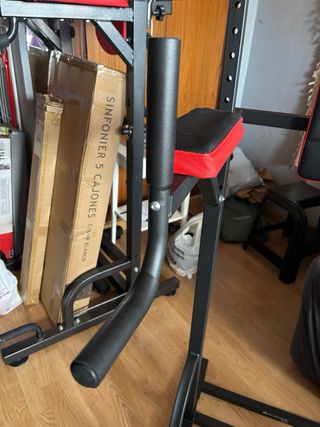 Estación de dominadas y musculación