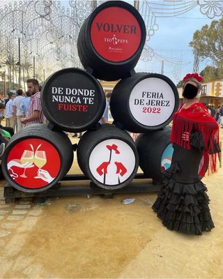Traje Flamenca Negro