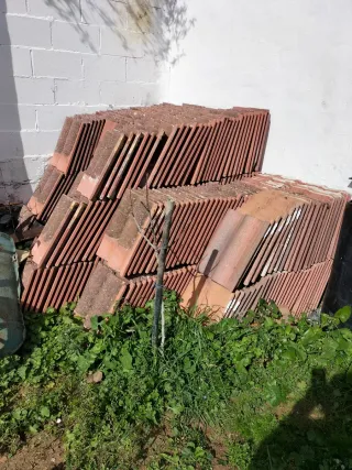 Tejas de barro (aprox. 300)