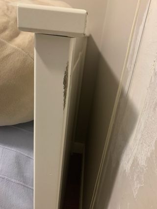 Cama nido diván Ikea Hemnes con colchones