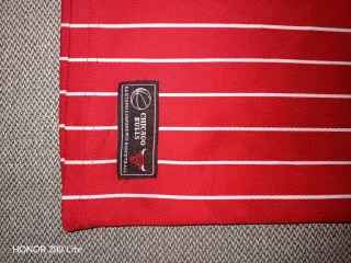 Camiseta Chicago Bulls Rayas Rojas