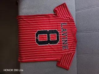 Camiseta Chicago Bulls Rayas Rojas