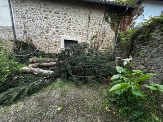 SERVICIO DE PODA DE ALTURA Y ARBOLES PELIGROSOS.