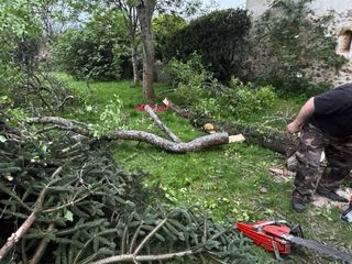 SERVICIO DE PODA DE ALTURA Y ARBOLES PELIGROSOS.