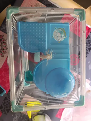 Jaula para hámster con accesorios
