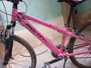 Bicicleta Montaña Rosa Monty