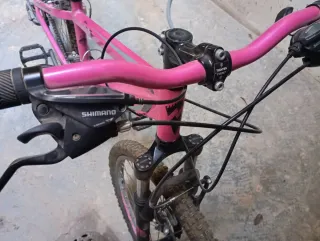 Bicicleta Montaña Rosa Monty