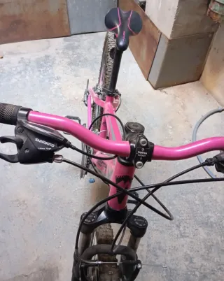 Bicicleta Montaña Rosa Monty