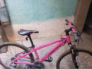 Bicicleta Montaña Rosa Monty