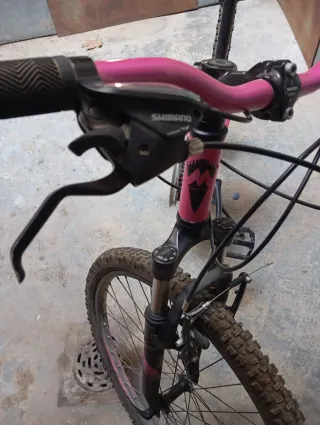 Bicicleta Montaña Rosa Monty