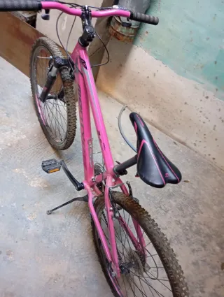 Bicicleta Montaña Rosa Monty