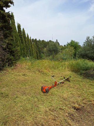 Desbroce y limpiezas de parcelas