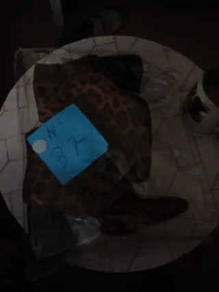 Botines leopardo Stradivarius tacón bloque