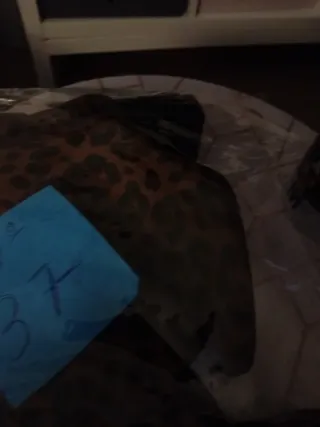 Botines leopardo Stradivarius tacón bloque