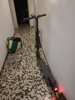 Patinete Eléctrico Xiaomi Pro 2