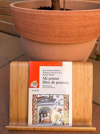 Mi primer libro de poemas