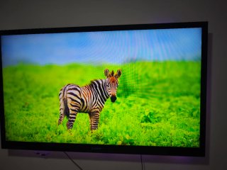TV Sony Bravia 55 Negra y Plateada