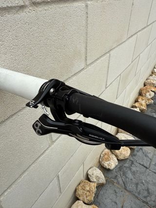 Giant Anthem Advanced Pro L 2024