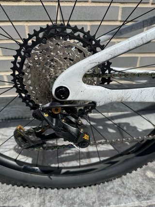 Giant Anthem Advanced Pro L 2024
